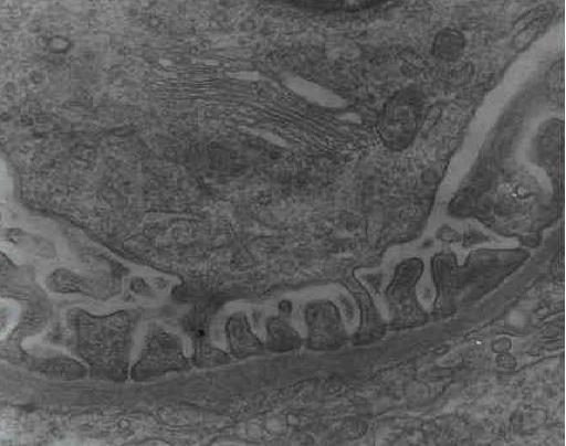 fig. 5 - <div style=